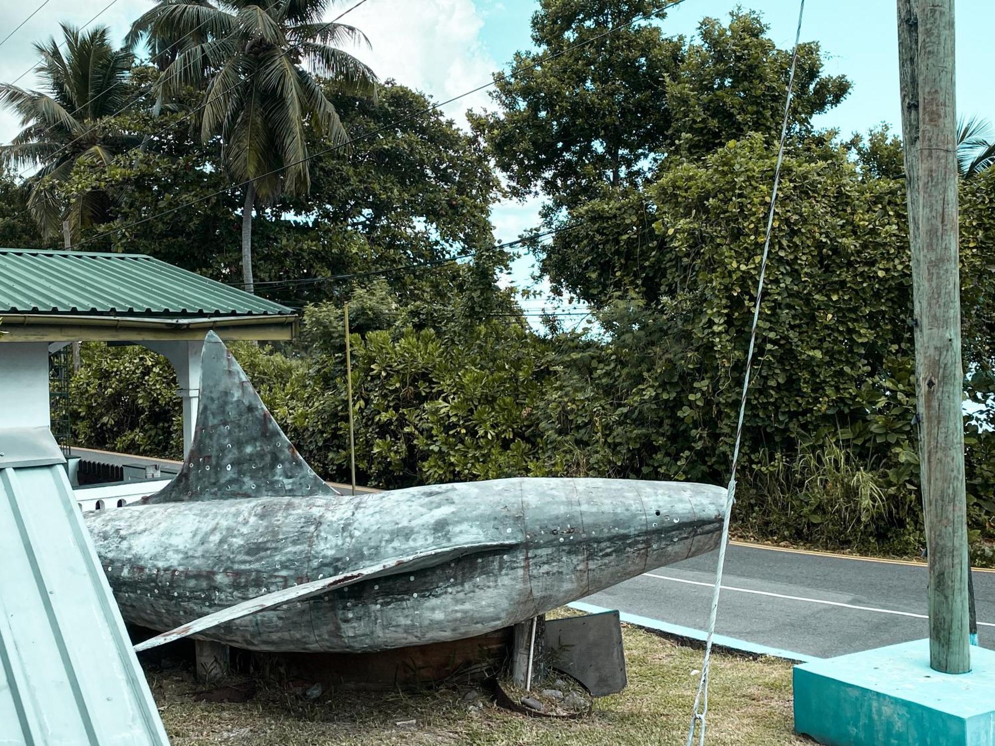 Divers Lodge Guest House Beau Vallon  Exterior photo