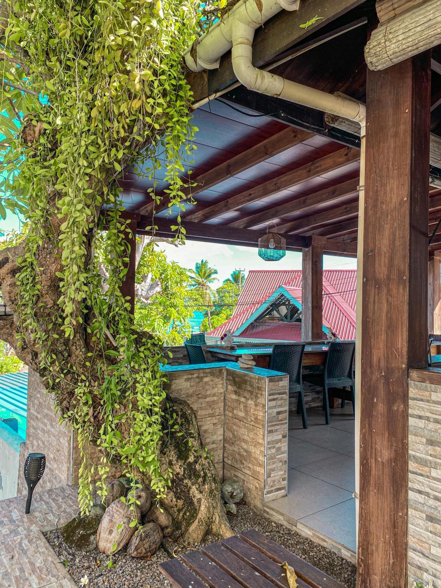 Divers Lodge Guest House Beau Vallon  Exterior photo