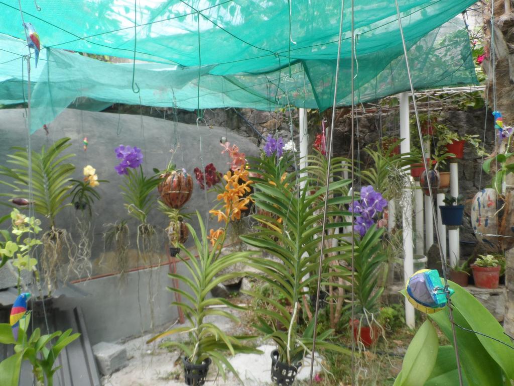 Divers Lodge Guest House Beau Vallon  Exterior photo