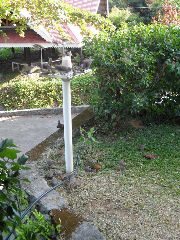 Divers Lodge Guest House Beau Vallon  Exterior photo